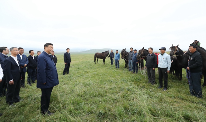 Xi makes inspection tour in Shandan, Gansu