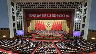 China's top political advisory body starts annual session