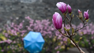 Cold front brings rainfall to Beijing