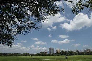 Autumn scenery of Kolkata, India