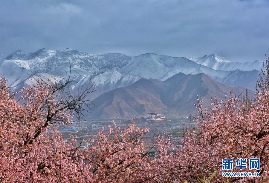 （环境）（11）白皮书：青藏高原地区仍然是地球上最洁净的地区之一