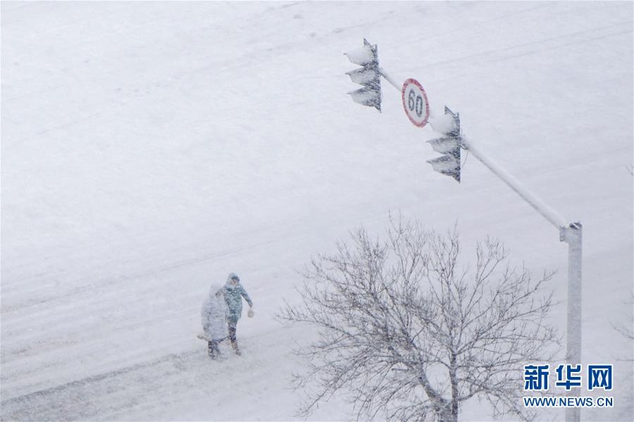 #（环境）（4）瑞雪迎新年