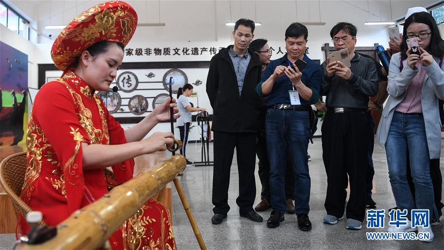 （壮丽70年 奋斗新时代——推动高质量发展调研行·图文互动）（6）近海能看鲸鱼白海豚，广西这片滨海旅游胜地啥来头？