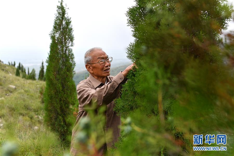 （在习近平新时代中国特色社会主义思想指引下——新时代新作为新篇章·图文互动）（5）中条山下绿意浓——一个“资源穷县”的生态发展之路