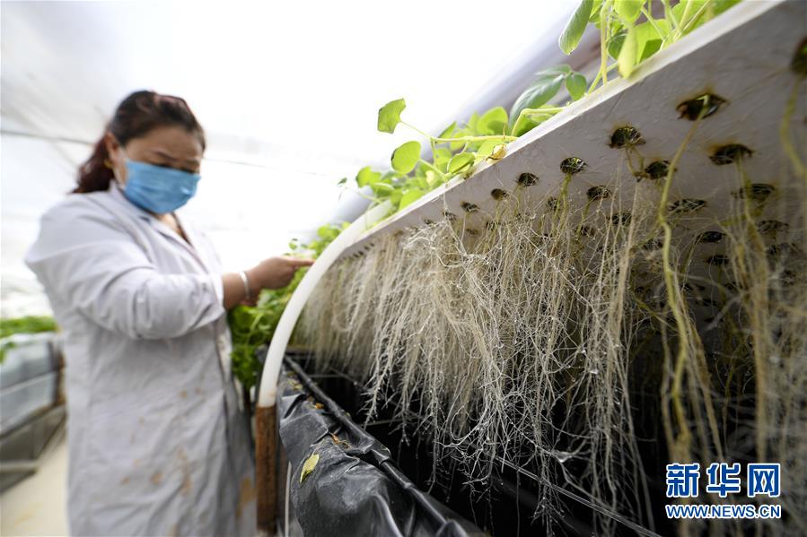 （新华全媒头条·图文互动）（1）春色最浓在田间——来自全国春耕备耕的现场观察