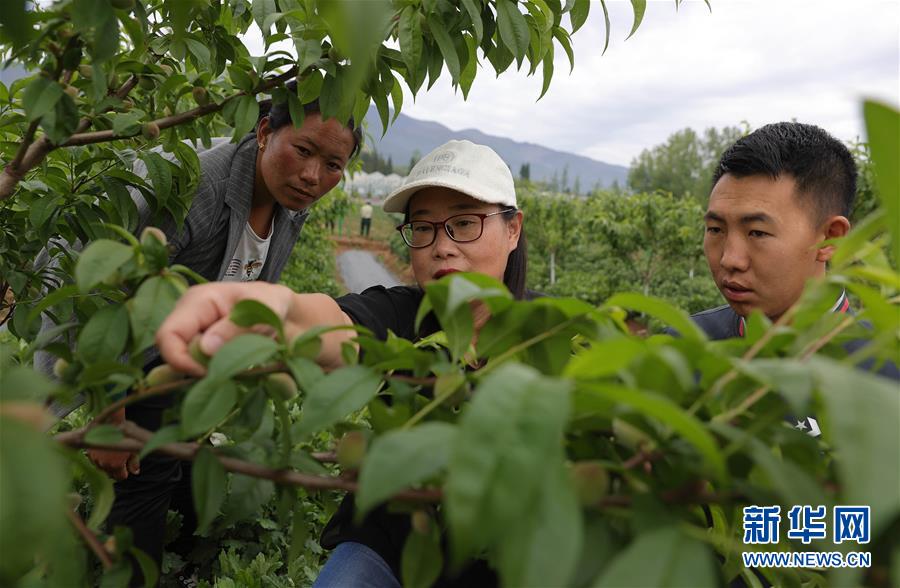 （决战决胜脱贫攻坚·督战未摘帽贫困县·图文互动）（3）12000多个“火种”点亮大凉山